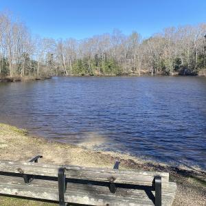 Photo #8 of 5349 Pearces Rd, Zebulon, NC 5.0 acres