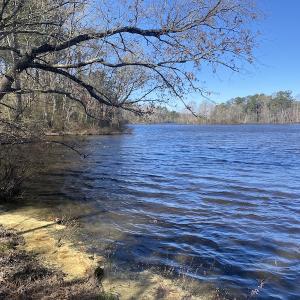 Photo #9 of 5349 Pearces Rd, Zebulon, NC 5.0 acres