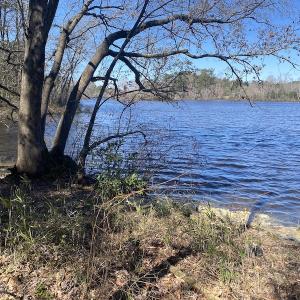 Photo #6 of 5349 Pearces Rd, Zebulon, NC 5.0 acres