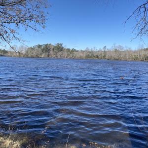 Photo #16 of 5349 Pearces Rd, Zebulon, NC 5.0 acres
