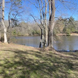 Photo #18 of 5349 Pearces Rd, Zebulon, NC 5.0 acres