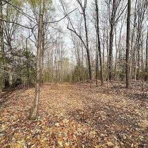 Photo #19 of SOLD property in 13504 Scotts Rd , Dewitt, VA 88.0 acres