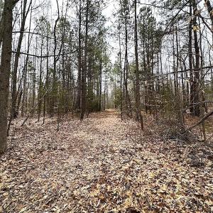 Photo #20 of SOLD property in 13504 Scotts Rd , Dewitt, VA 88.0 acres