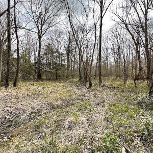 Photo #26 of SOLD property in 13504 Scotts Rd , Dewitt, VA 88.0 acres