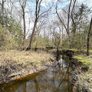 Photo #27 of SOLD property in 13504 Scotts Rd , Dewitt, VA 88.0 acres