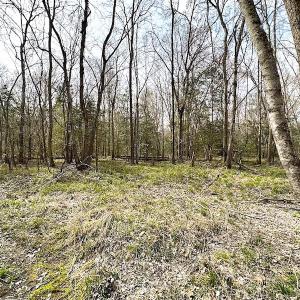 Photo #28 of SOLD property in 13504 Scotts Rd , Dewitt, VA 88.0 acres