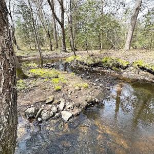 Photo #29 of SOLD property in 13504 Scotts Rd , Dewitt, VA 88.0 acres