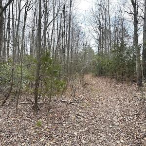 Photo #32 of SOLD property in 13504 Scotts Rd , Dewitt, VA 88.0 acres