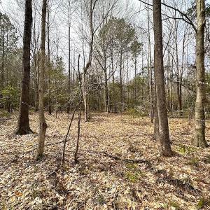 Photo #34 of SOLD property in 13504 Scotts Rd , Dewitt, VA 88.0 acres