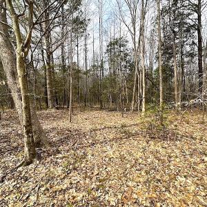 Photo #35 of SOLD property in 13504 Scotts Rd , Dewitt, VA 88.0 acres