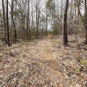 Photo #36 of SOLD property in 13504 Scotts Rd , Dewitt, VA 88.0 acres