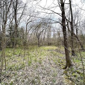 Photo #37 of SOLD property in 13504 Scotts Rd , Dewitt, VA 88.0 acres