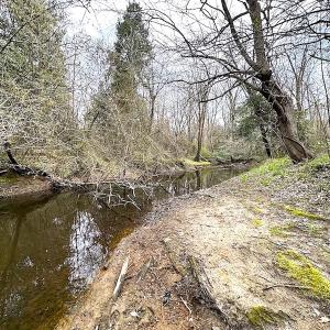 Photo #38 of SOLD property in 13504 Scotts Rd , Dewitt, VA 88.0 acres