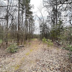 Photo #46 of SOLD property in 13504 Scotts Rd , Dewitt, VA 88.0 acres