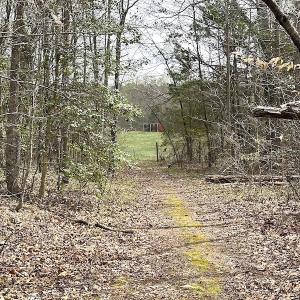 Photo #47 of SOLD property in 13504 Scotts Rd , Dewitt, VA 88.0 acres