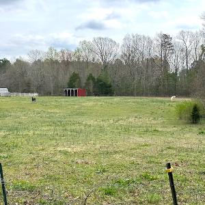 Photo #48 of SOLD property in 13504 Scotts Rd , Dewitt, VA 88.0 acres