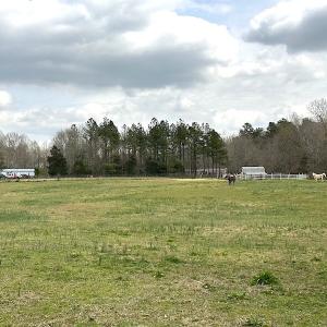 Photo #49 of SOLD property in 13504 Scotts Rd , Dewitt, VA 88.0 acres