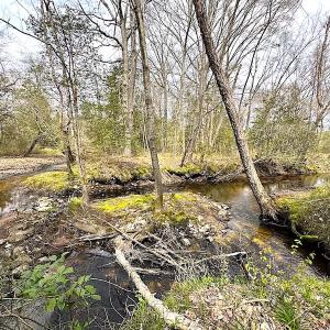 Photo #5 of SOLD property in 13504 Scotts Rd , Dewitt, VA 88.0 acres