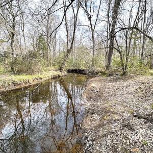 Photo #6 of SOLD property in 13504 Scotts Rd , Dewitt, VA 88.0 acres
