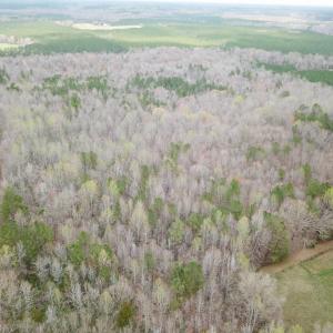Photo #25 of SOLD property in 13504 Scotts Rd , Dewitt, VA 88.0 acres