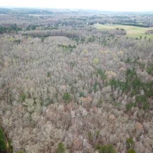 Photo #39 of SOLD property in 13504 Scotts Rd , Dewitt, VA 88.0 acres