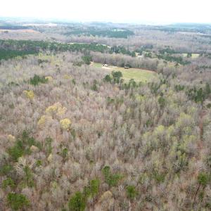 Photo #42 of SOLD property in 13504 Scotts Rd , Dewitt, VA 88.0 acres