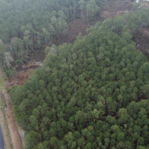 Photo #6 of SOLD property in Off McGowan Rd., Bath, NC 5.9 acres