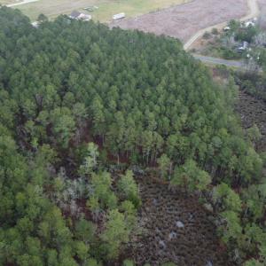 Photo #8 of SOLD property in Off McGowan Rd., Bath, NC 5.9 acres