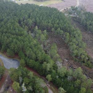 Photo #9 of SOLD property in Off McGowan Rd., Bath, NC 5.9 acres