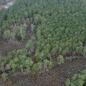 Photo #10 of SOLD property in Off McGowan Rd., Bath, NC 5.9 acres