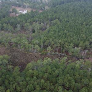 Photo #11 of SOLD property in Off McGowan Rd., Bath, NC 5.9 acres