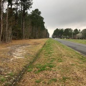 Photo #14 of SOLD property in Off McGowan Rd., Bath, NC 5.9 acres