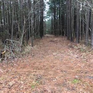Photo #16 of SOLD property in Off McGowan Rd., Bath, NC 5.9 acres