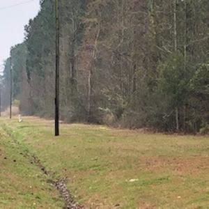 Photo #20 of SOLD property in Off McGowan Rd., Bath, NC 5.9 acres