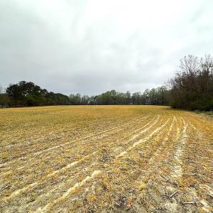 Photo #38 of SOLD property in 11219 Old Suffolk Rd, Windsor, VA 23.0 acres