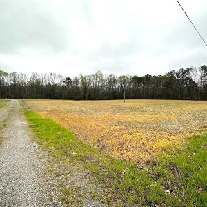 Photo #40 of SOLD property in 11219 Old Suffolk Rd, Windsor, VA 23.0 acres
