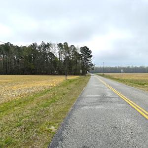 Photo #41 of SOLD property in 11219 Old Suffolk Rd, Windsor, VA 23.0 acres