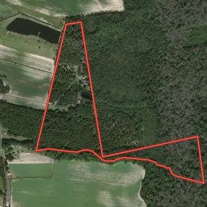 Photo #48 of SOLD property in 388 & 268 Promise Cove Rd, Elizabethtown, NC 40.0 acres