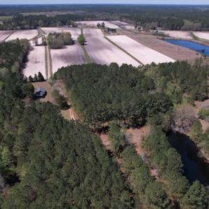 Photo #34 of SOLD property in 388 & 268 Promise Cove Rd, Elizabethtown, NC 40.0 acres