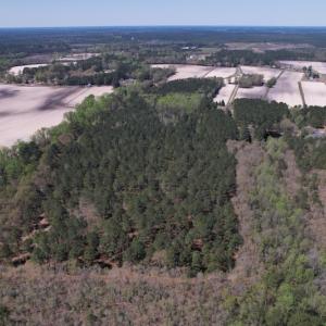 Photo #42 of SOLD property in 388 & 268 Promise Cove Rd, Elizabethtown, NC 40.0 acres