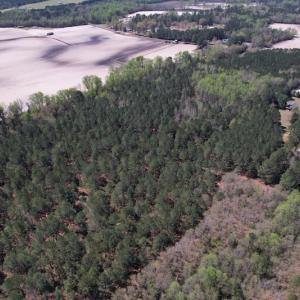 Photo #43 of SOLD property in 388 & 268 Promise Cove Rd, Elizabethtown, NC 40.0 acres