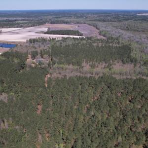 Photo #45 of SOLD property in 388 & 268 Promise Cove Rd, Elizabethtown, NC 40.0 acres