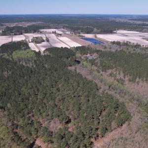 Photo #46 of SOLD property in 388 & 268 Promise Cove Rd, Elizabethtown, NC 40.0 acres