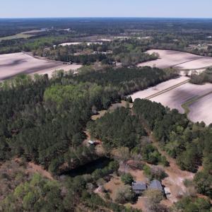 Photo #39 of SOLD property in 388 & 268 Promise Cove Rd, Elizabethtown, NC 40.0 acres