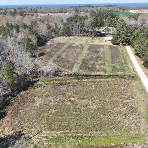 Photo #5 of SOLD property in 105 Vanhorne Road, Columbia, NC 7.4 acres