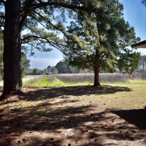 Photo #17 of SOLD property in 105 Vanhorne Road, Columbia, NC 7.4 acres