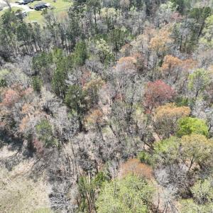 Photo #36 of SOLD property in 105 Vanhorne Road, Columbia, NC 7.4 acres