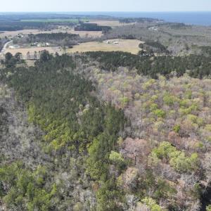 Photo #37 of SOLD property in 105 Vanhorne Road, Columbia, NC 7.4 acres