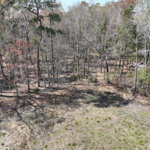 Photo #42 of SOLD property in 105 Vanhorne Road, Columbia, NC 7.4 acres