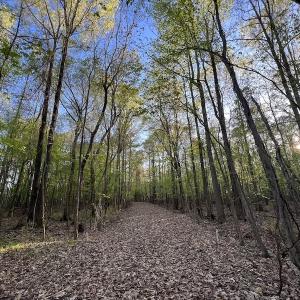 Photo #12 of SOLD property in Off May Blvd, Farmville, NC 30.3 acres